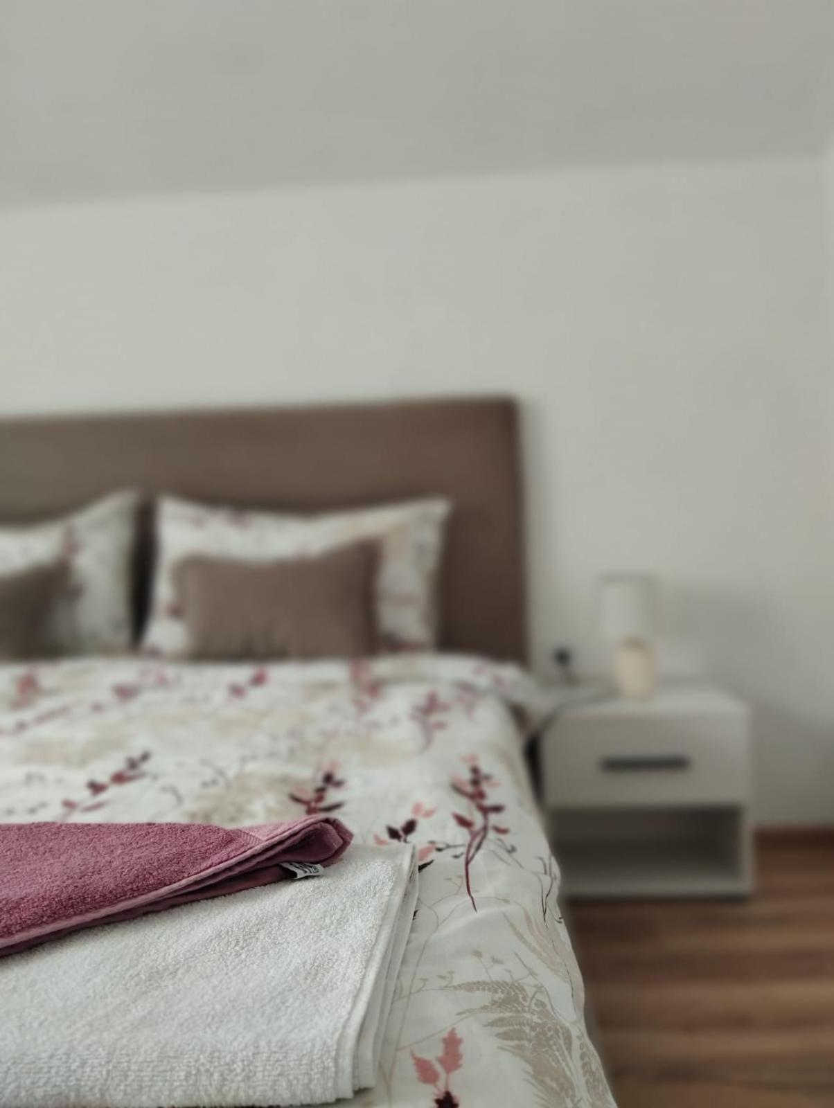 פלוזינה Apartment La Casa מראה חיצוני תמונה